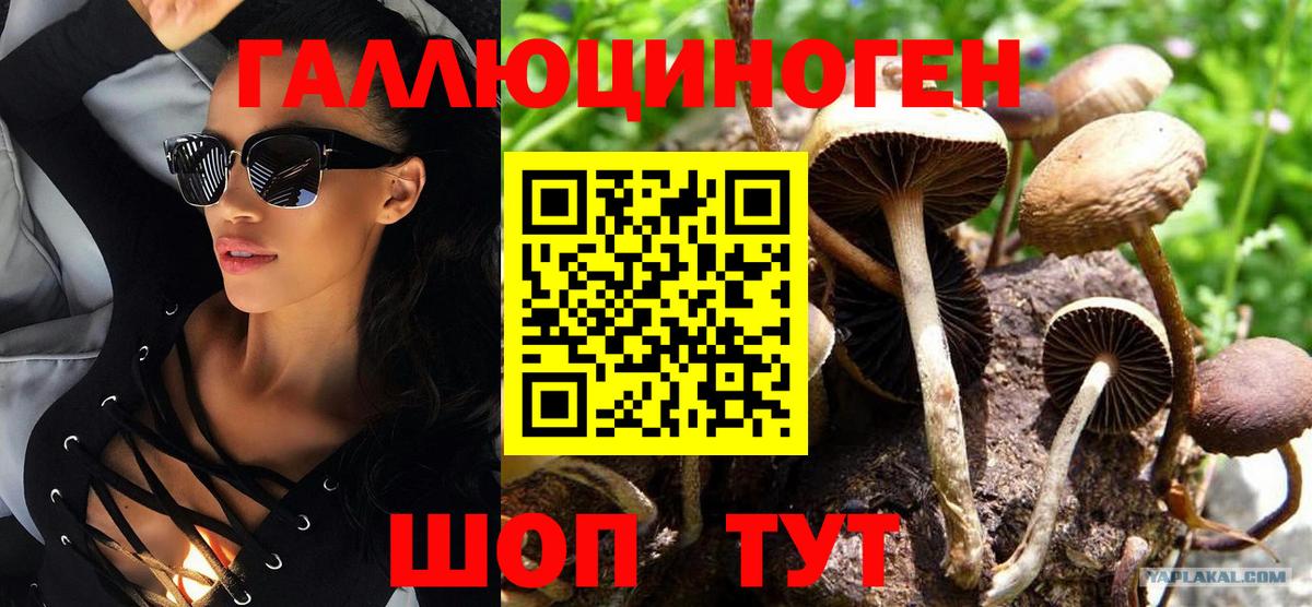 Псилоцибиновые грибы Cubensis Тобольск